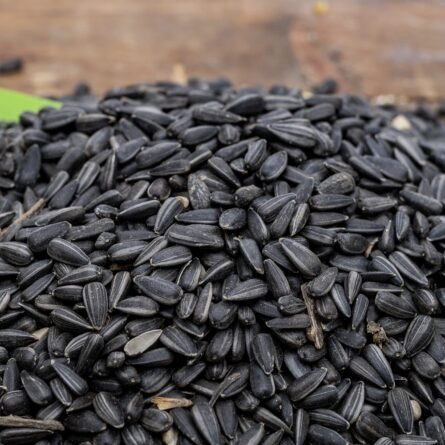 Sunflower Seeds - Image 2