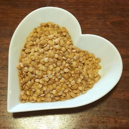 Eggplant Seeds - 5 KG - Image 2