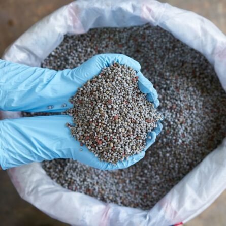 Phosphorus Fertilizer (Superphosphate) - Image 2